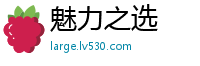 魅力之选