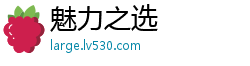 魅力之选